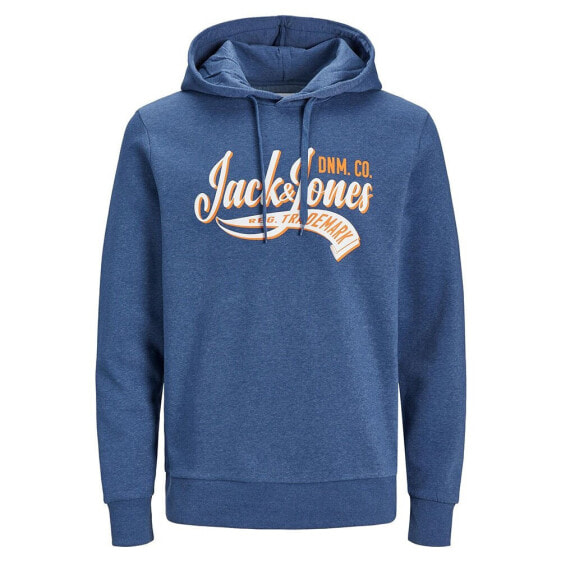 JACK & JONES Logo 2 Col 23/24 hoodie