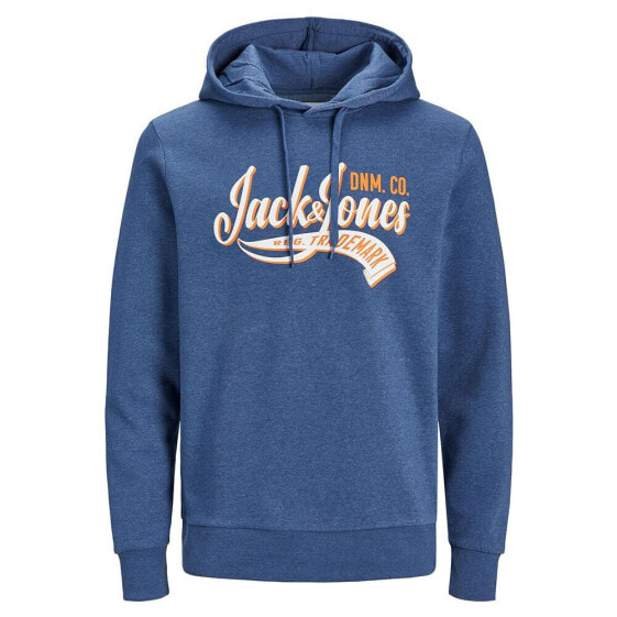 Толстовка Jack & Jones с капюшоном Logo 2 Col 23/24