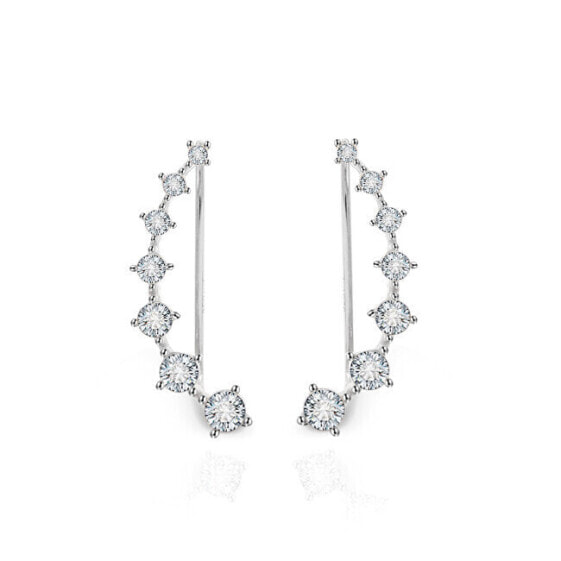 Silver longitudinal earrings with clear crystals AGU2712