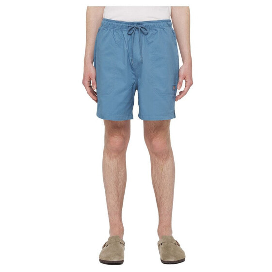 DICKIES Pelican Rapids shorts