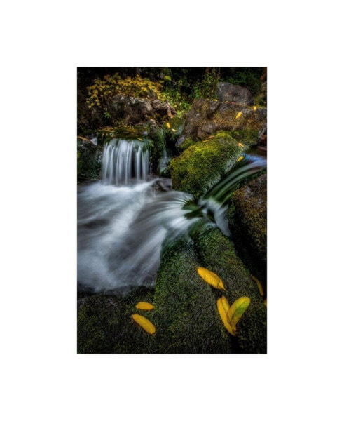 Dan Ballard Cascade Waterfall Canvas Art - 19.5" x 26"