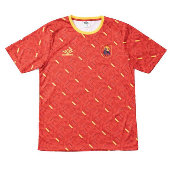 Футболка мужская Umbro UMBRO Spain All Over Print World Cup 2022