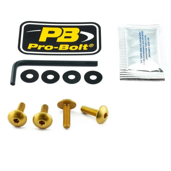 PRO BOLT SCR 4 SK110G Windshield Screws