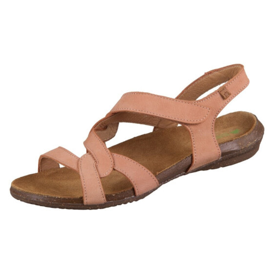 El Naturalista N5079peach