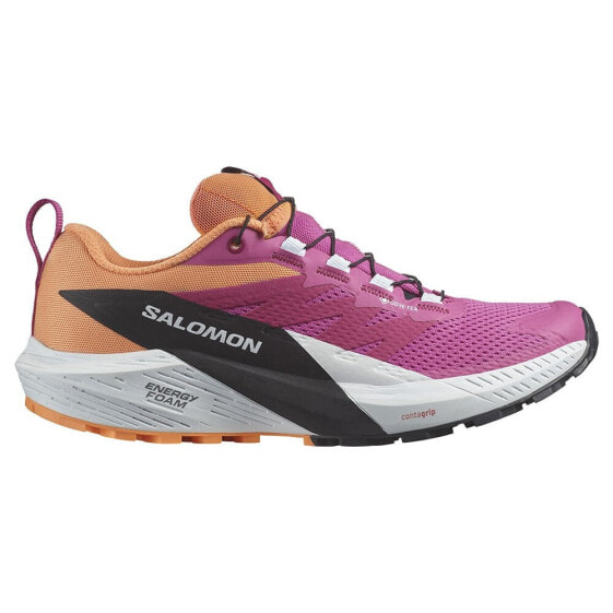 Кроссовки Salomon Sense Ride 5 Goretex TrailRunning