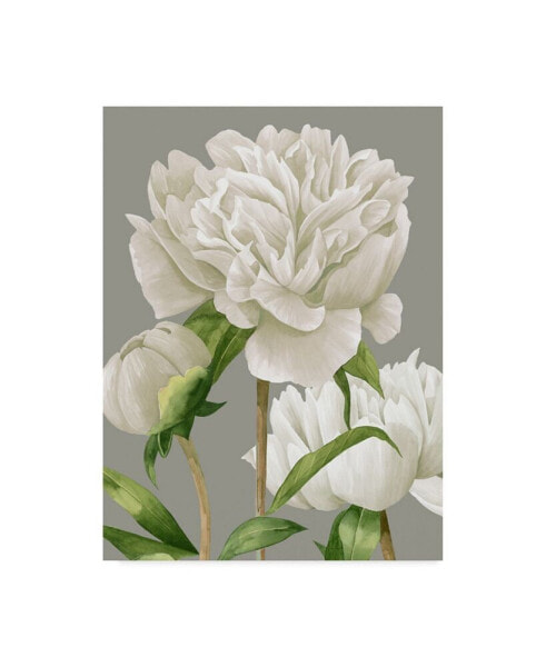 Grace Popp White Peonies II Canvas Art - 15" x 20"