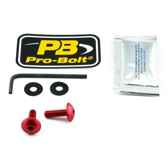 PRO BOLT SCR 2 SK670R Windshield Screws