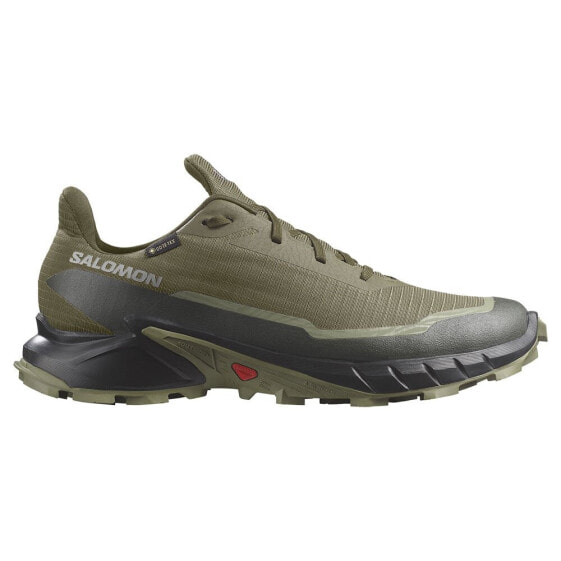 Кроссовки Salomon Alphacross 5 Goretex Trail