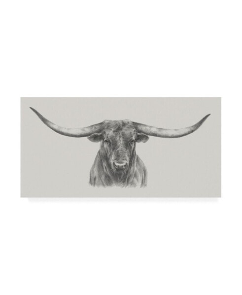 Ethan Harper Longhorn Bull Canvas Art - 37" x 49"