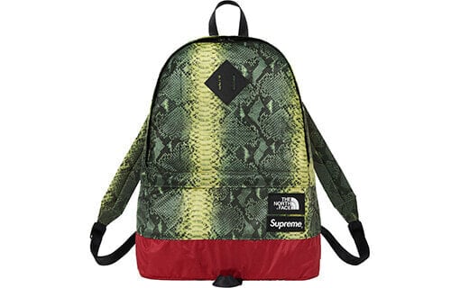 Рюкзак Supreme SS18 x The North Face LOGO SUP-SS18-389