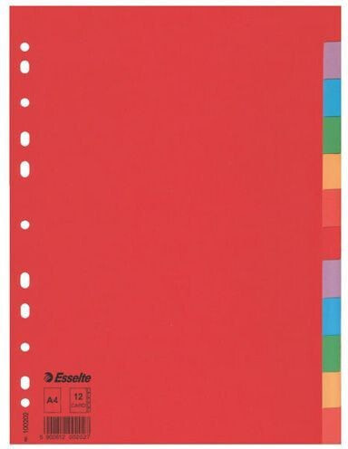 Esselte Przekładki Esselte z kolorowego kartonu. A4 (100202 N)
