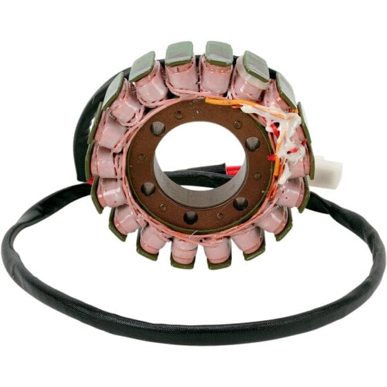 RICKs MOTORSPORT ELECTRIC OEM Ducati 21-010 Stator