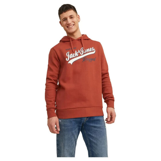 JACK & JONES Logo 2 Col 23/24 hoodie