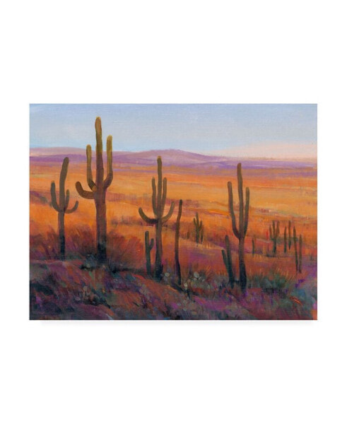 Tim OToole Desert Light I Canvas Art - 36.5" x 48"