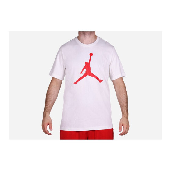 Nike Air Jordan Iconic Jumpman