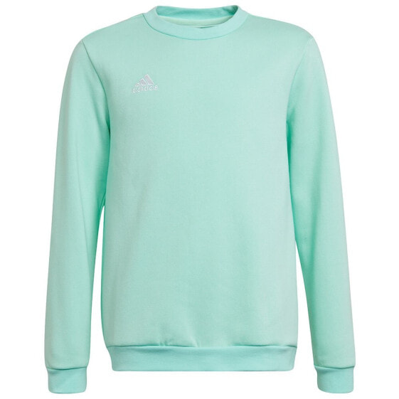 ADIDAS Entrada 22 Stadium SW sweatshirt