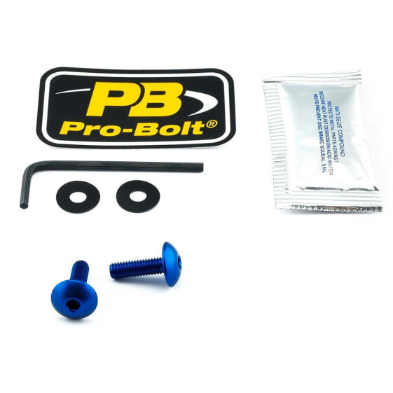 PRO BOLT SCR 2 SK670B Windshield Screws