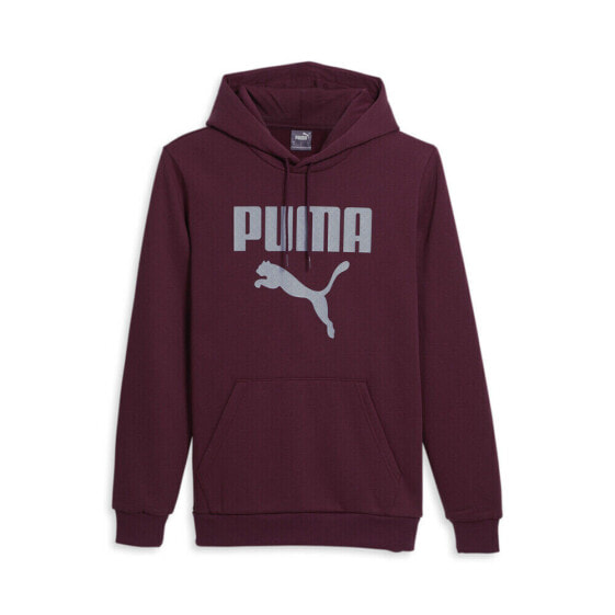 Puma Framed Up Hoodie Mens Size M Casual Outerwear 67807322