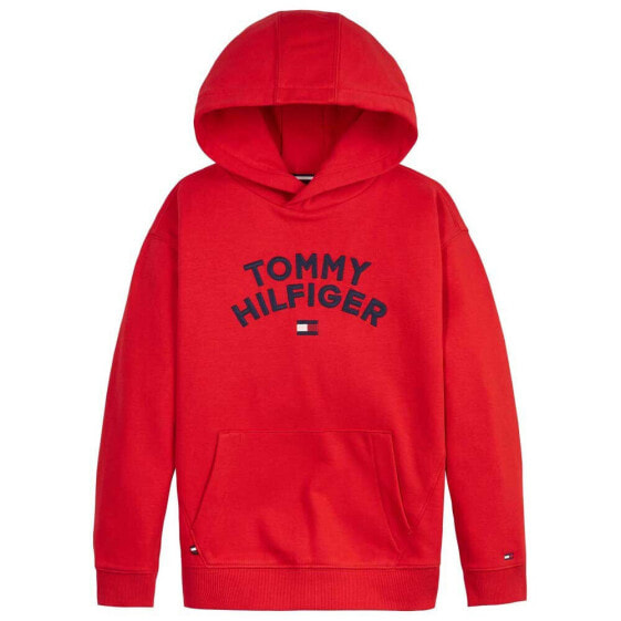 TOMMY HILFIGER Flag hoodie