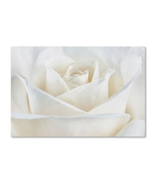 Cora Niele 'Pure White Rose' Canvas Art - 47" x 30" x 2"