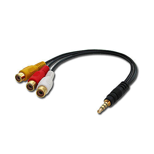 Lindy AudioVideo Adapter 3,5-3xRCA - 0.25 m - 3.5mm - 3 x RCA - Male - Female - Black