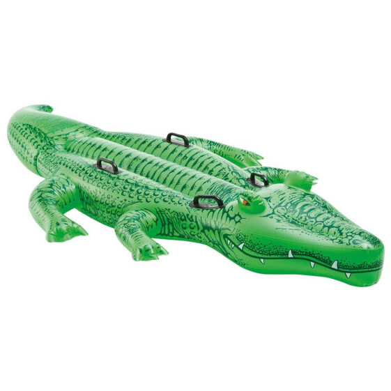 INTEX Crocodile