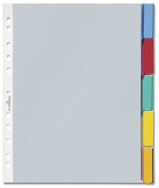 Durable 6630 - Blank tab index - Transparent - 250 mm - 302 mm