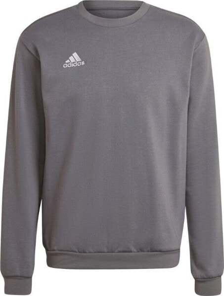 Adidas Bluza męska adidas Entrada 22 Sweat Top szara H57479 XL