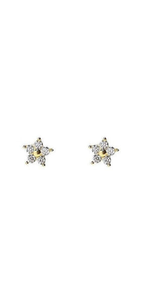 Mini Star Studs