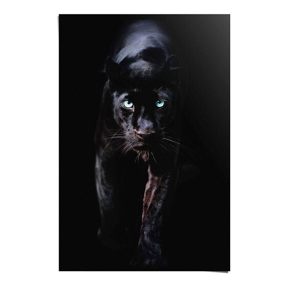 Poster Schwarzer Panther