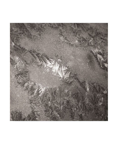 Kurt Shaffer Photographs Mosaic of ice crystals on my window Canvas Art - 15.5" x 21"