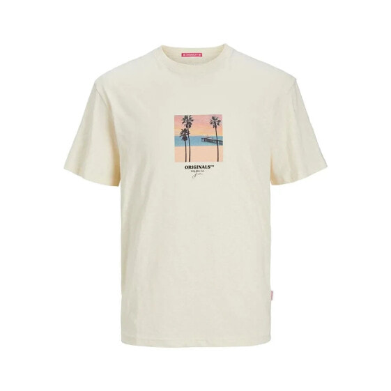 JACK & JONES Aruba Small Photo short sleeve T-shirt