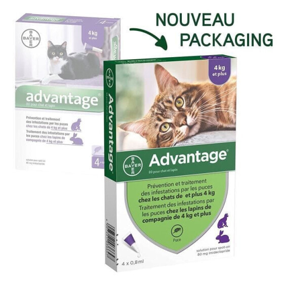 ADVANTAGE 80 - 6 Antiparasitenpipetten - Fr Katzen und Kaninchen ab 4 kg