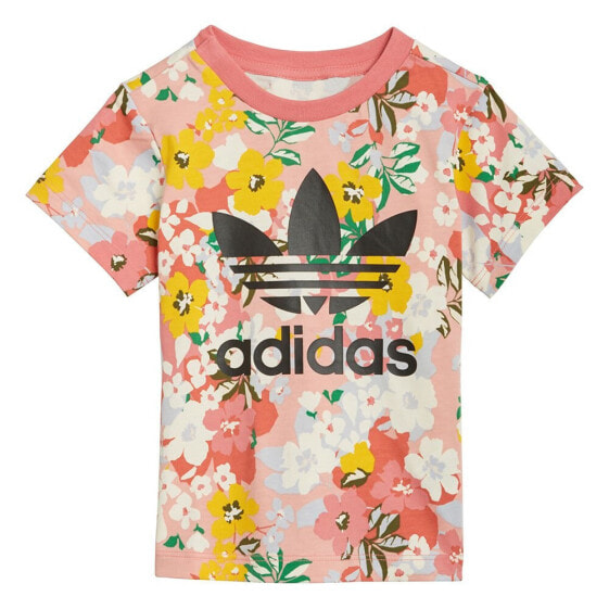 ADIDAS ORIGINALS AOP Pack short sleeve T-shirt