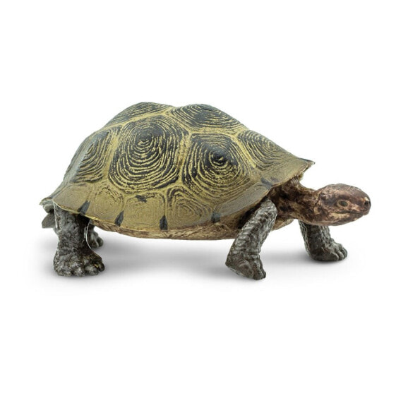 SAFARI LTD Desert Tortoise Figure