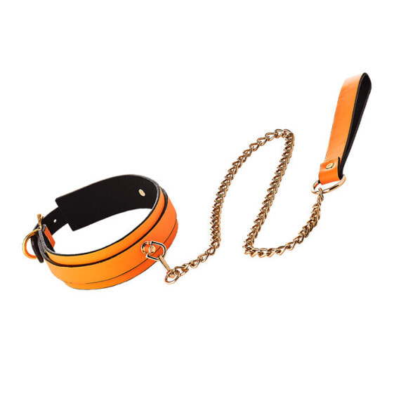 Radiant - Collar and Leash