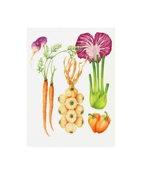 Deborah Kopka Garlic and Friends Market Poster Canvas Art - 36.5" x 48"