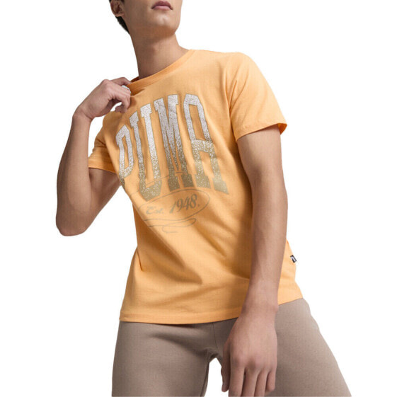 Puma Court Graphic Crew Neck Short Sleeve T-Shirt Mens Orange Casual Tops 682208