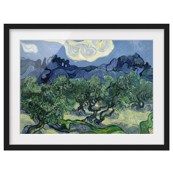 Bild Vincent van Gogh Olivenbäume II