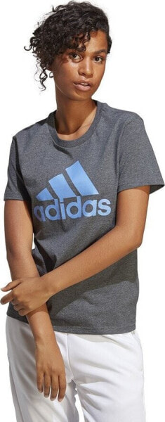 Adidas Koszulka adidas Big Logo Tee IC0634