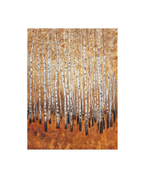 Tim Otoole Sienna Birches I Canvas Art - 20" x 25"