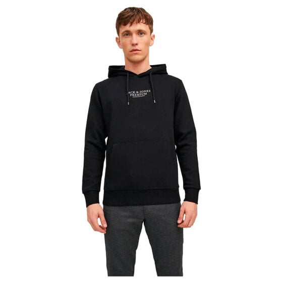 JACK & JONES Bluarchie hoodie