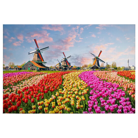 Leinwandbild Tulpen Zaanse Schans