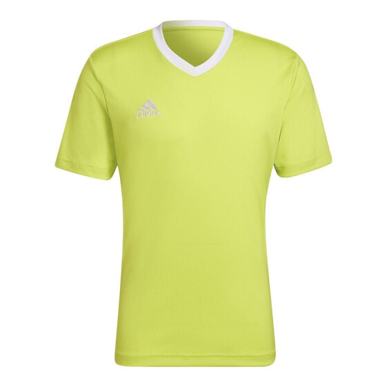 Мужская спортивная футболка зеленая с логотипом Adidas Entrada 22