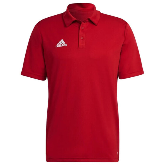 ADIDAS Entrada 22 short sleeve polo