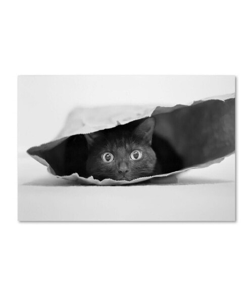 Jeremy Holthuysen 'Cat In A Bag' Canvas Art - 19" x 12" x 2"