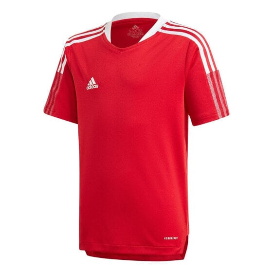 ADIDAS Tiro 21 Training short sleeve T-shirt