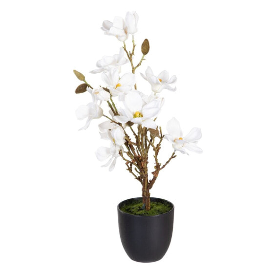 Декоративное растение полиэстер полиэтилен Железо 30 x 30 x 60 cm Magnolia