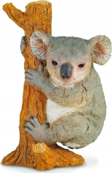 Figurka Collecta MIŚ KOALA WSPINAJĄCY SIĘ - CollectA - 88356 - M