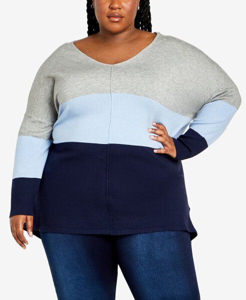 Plus Size Sadie Colorblock V-neck Sweater